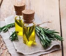 تصویر 1 از خرید فروش اسانس ترخون + قیمت عالی با کیفیت تضمینی